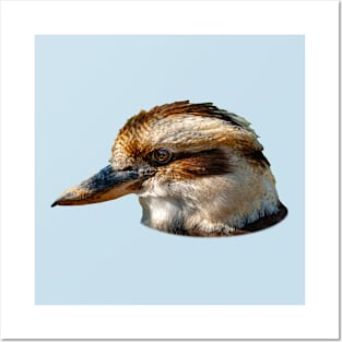 Kookaburra portrait Posters and Art